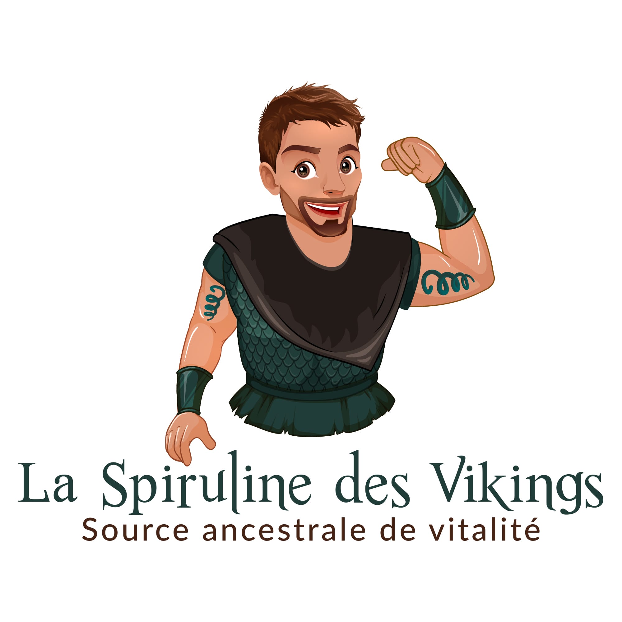 laspirulinedesvikings.fr logo